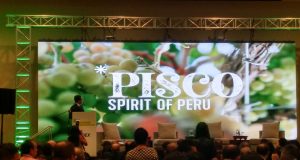 Ministro Edgar Vásquez presenta la marca "Pisco, Spurit of Peru". Foto: Andina